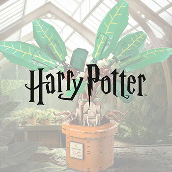 LEGO® Harry Potter™